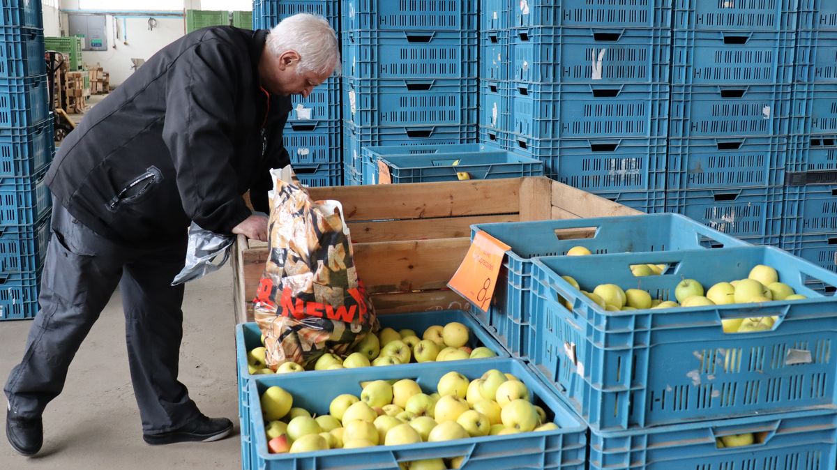 Jablka za 6 korun, brambory za 15. U farmářů je levnější ovoce i zelenina